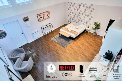 NG Prestige - Nain - Suite Spa Privatif - Jacuzzi - Netflix - Projecteur Apartment in Flanders