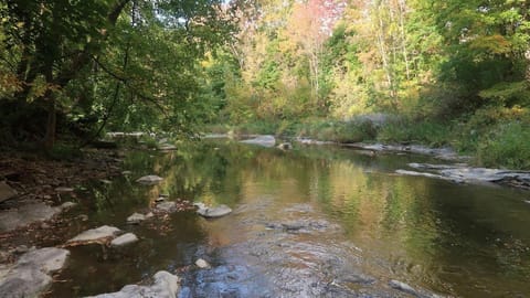 Water Street Apartments Apartment in Williamstown