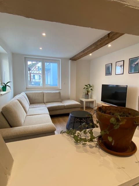 Appartement confortable Apartment in Haguenau