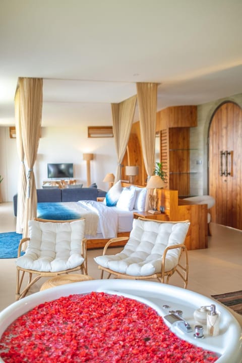 Photo of the whole room