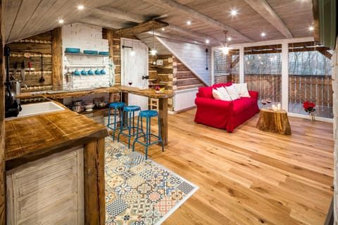 Kitchen or kitchenette, Living room, Seating area, Dining area
