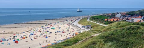 Bird's eye view, Beach