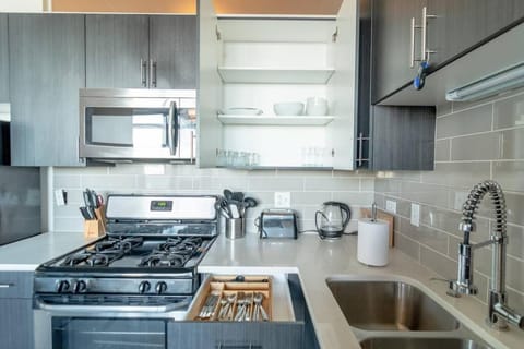 Bright and Stylish 2BR Suite on Michigan Ave Near Grant Park, Museum Campus and Lakefront Apartment in South Loop