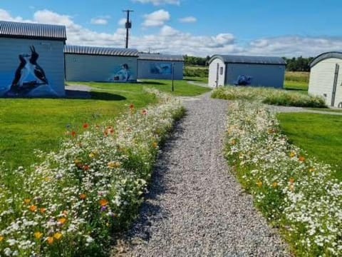 Easkey Glamping Village Campground/ 
RV Resort in County Sligo