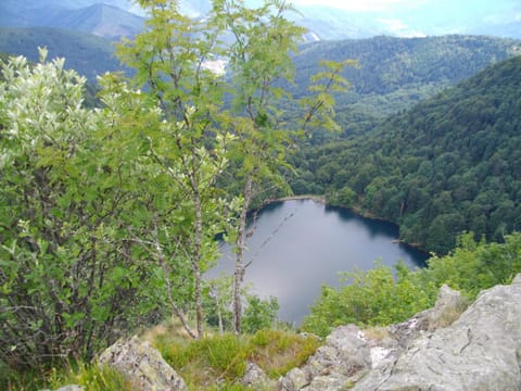 Lake view