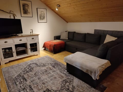 Heritage House Taimela -homestay Great for families Vacation rental in Rovaniemi