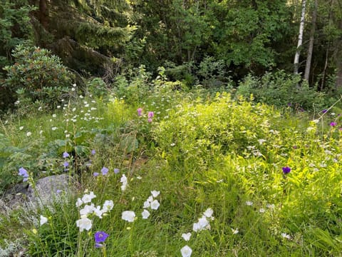 Summer House with Sauna on Beautiful Island House in Finland
