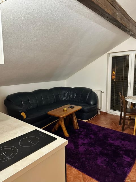 Apartmani Ivan Apartment in Federation of Bosnia and Herzegovina