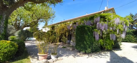 Property building, Spring, Garden, Garden view