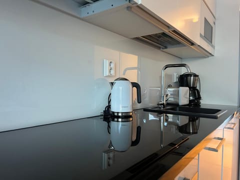 Coffee/tea facilities, Kitchen or kitchenette, minibar, pet friendly, stove, toaster