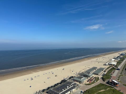 Natural landscape, Beach, Sea view