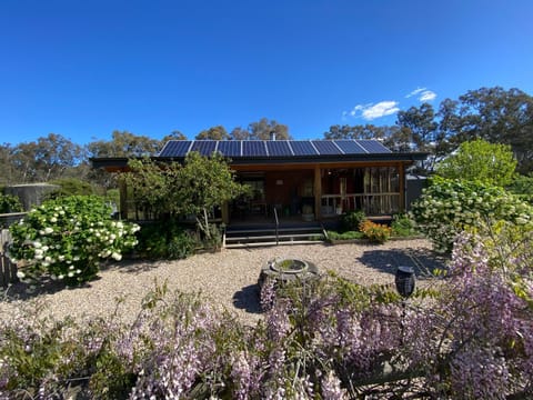 Property building, Spring, Day, Garden