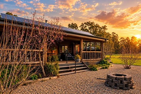 Property building, Spring, Day, Garden, View (from property/room), Garden view