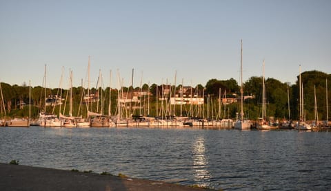 Möwennest am Twedter Holz Apartment in Flensburg