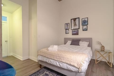 Luxury Cozy 2BR with Optional Parking and Gym Access Near McCormick Place, Lakefront and Soldier Field Apartment in South Loop