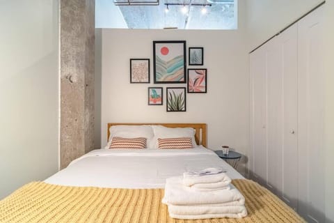 Luxury Cozy 2BR with Optional Parking and Gym Access Near McCormick Place, Lakefront and Soldier Field Apartment in South Loop