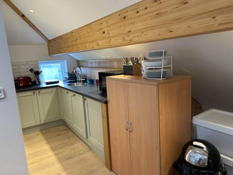 Kitchen or kitchenette, dishwasher