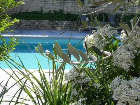 Pool view