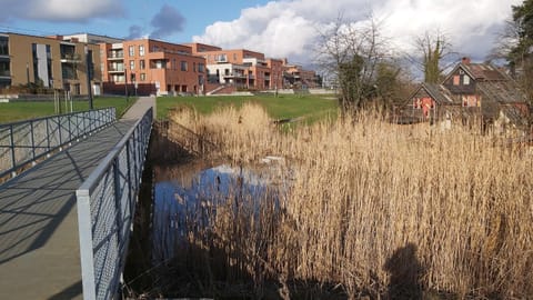 Property building, Garden
