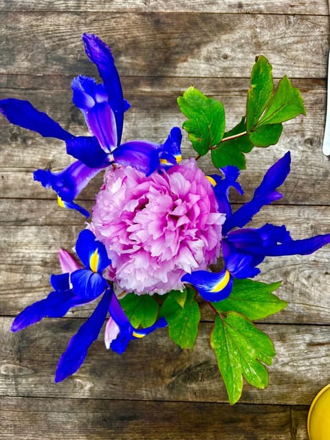 Manoir de La Barre Ceton Apartment in Normandy