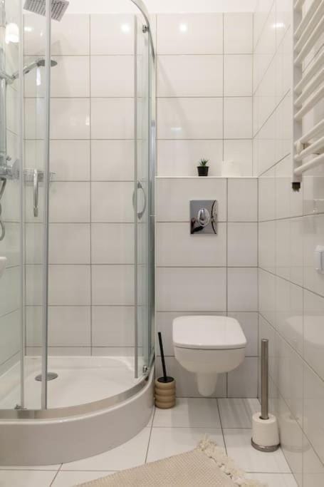 June A studio Apartment in Krakow