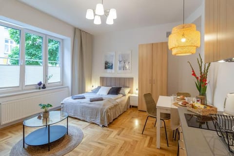 June A studio Apartment in Krakow