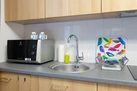 May A studio Apartment in Krakow