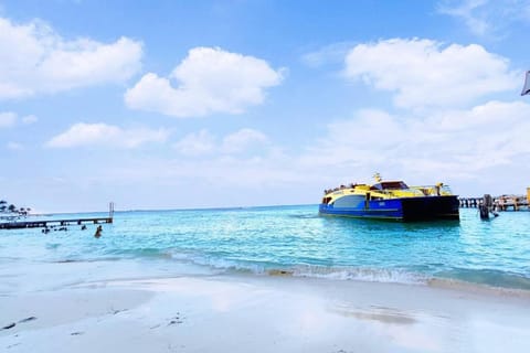 Day, Natural landscape, Activities, Beach