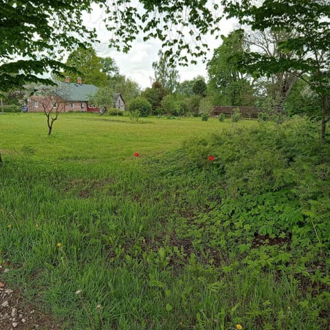 Natural landscape, Garden, Garden view