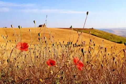 Casa San Vito House in Basilicata