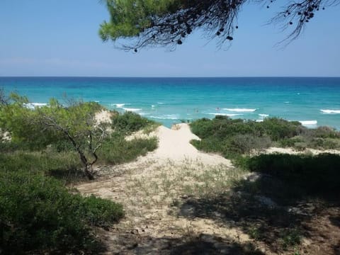 Maya's House at Sani House in Halkidiki