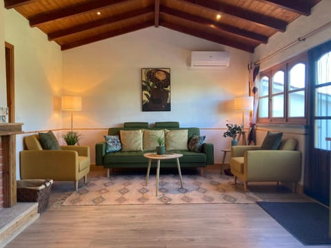 Living room, air conditioner