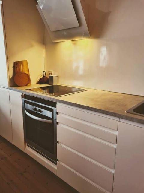 Cosy Holiday Apt Close to Gondola and Town Center Apartment in Nordland, Norway