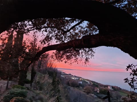 Garden, View (from property/room), Garden view, Garden view, Sunset