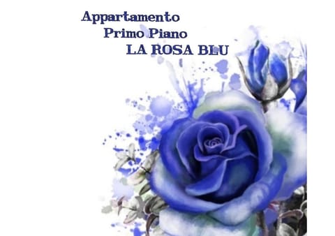 La casa dei gabbiani Apartment in Torre del Lago