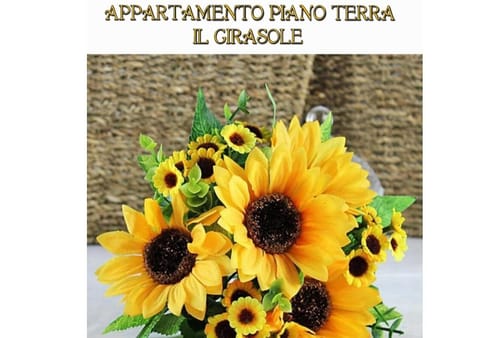 La casa dei gabbiani Apartment in Torre del Lago