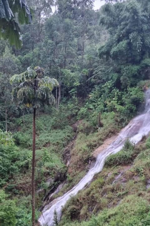 Chalé Suíte Canton Suisse Nature lodge in Nova Friburgo