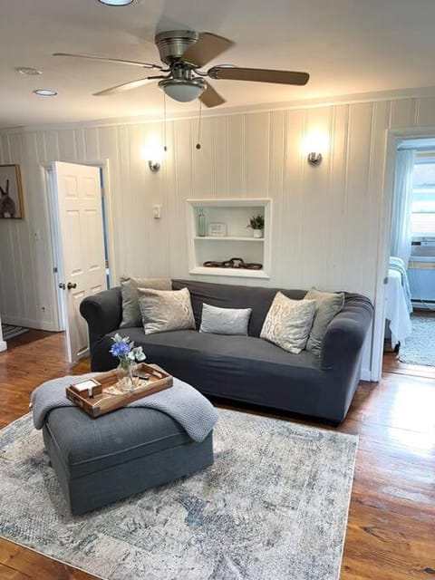 Skiing, TV and multimedia, Living room, Seating area, pet friendly