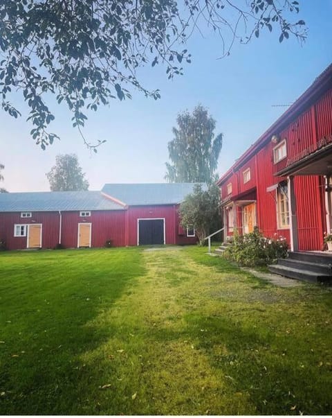 Day, Garden, Garden view