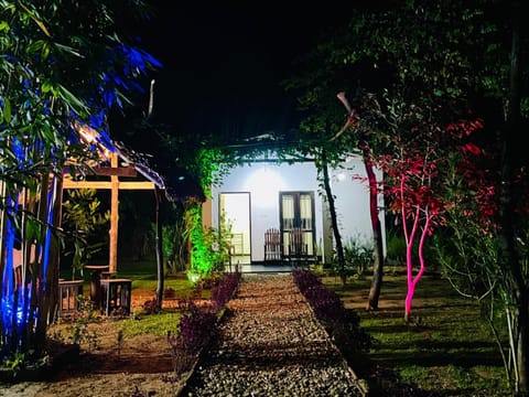 Property building, Night, Garden, Garden view