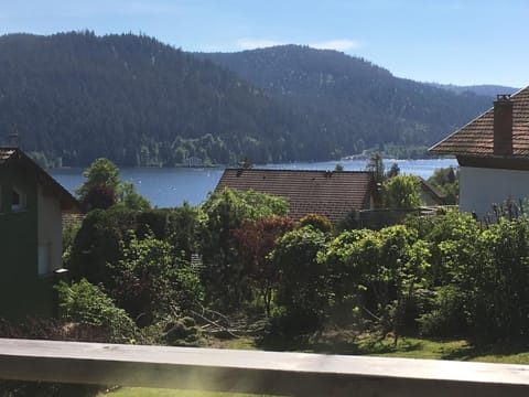 Lake view