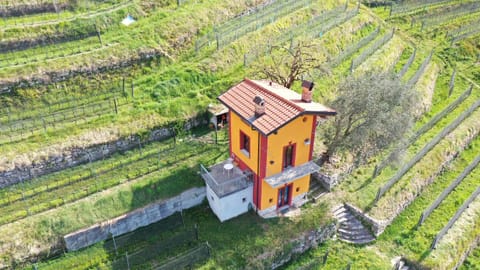 Property building, Natural landscape, Garden, Balcony/Terrace, Garden view