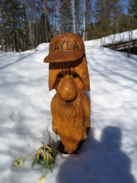 Day, Natural landscape, Winter