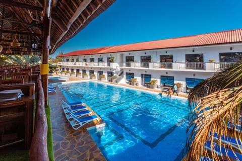 Day, Pool view, Swimming pool, sunbed