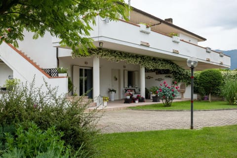 Garden, Garden view
