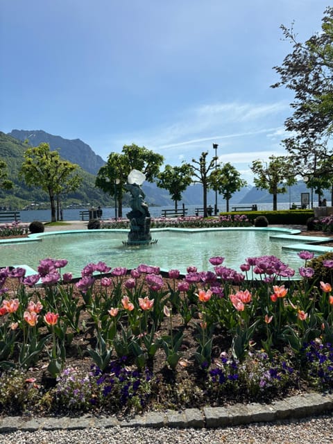 Nearby landmark, Mountain view