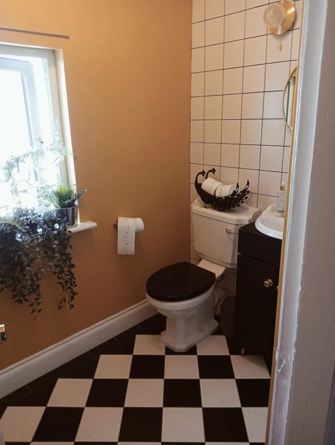 Dublin canal side Vacation rental in Dublin