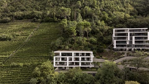 Property building, Natural landscape