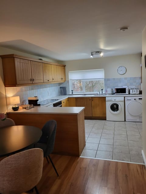 Greenview Apartment in Limerick