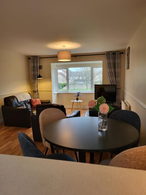 Greenview Apartment in Limerick